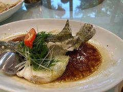 清蒸鱼-宜宾海鲜酒家·三十年老字号