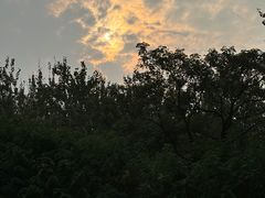 -汉长安城未央宫国家考古遗址公园