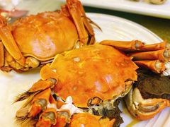 大闸蟹-清心鸡沙田乳鸽店·非遗传承(石溪店)