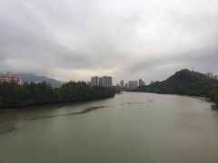 -大亚湾红树林城市湿地公园