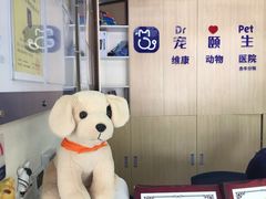 -宠颐生维康宠物医院(金丰店)