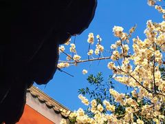 -钱王祠
