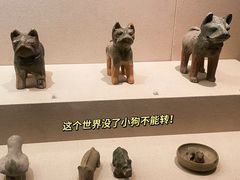 -安徽省地质博物馆