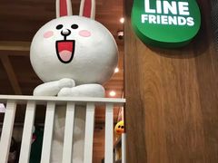 -line friends(明洞旗舰店)