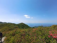 -大围山国家森林公园