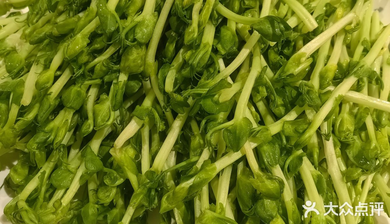 今天火锅吃撑了，超满足