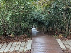 -潜山国家森林公园