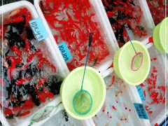 -清平路水族市场