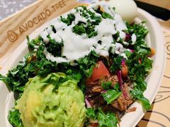 -油梨树AVOCADO TREE(嘉里中心店)