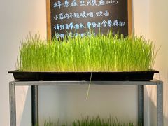 -朵朵开素食餐厅(后宰门街店)