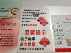 -老袁家蜜桃农场·阳山水蜜桃