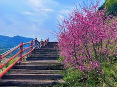 -原乡小镇度假乐园
