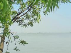 -上海吴淞炮台湾国家湿地公园