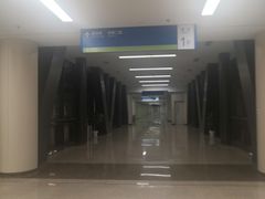-首都医科大学附属北京天坛医院