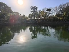 -无锡蠡湖国家湿地公园-蠡园
