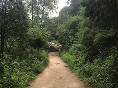 -碓臼峪自然风景区