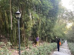 -潜山国家森林公园