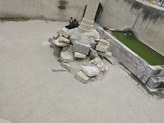 -保定市动物园