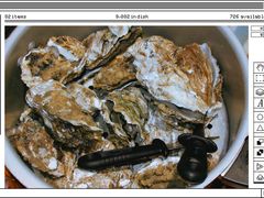 -鲜螺湾(鹏欣丽都店)