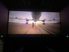 -幸福蓝海国际影城(河西店)