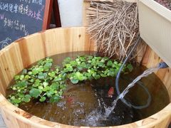 -大澳