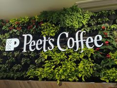 -Peet's Coffee皮爷咖啡(大学路店)