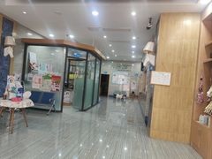 -瑞派名望志远动物医院·猫科·內科·异宠专科(直港大道店)