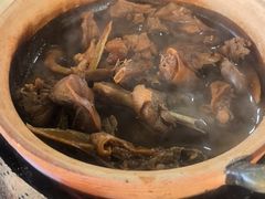-霞姐屯昌枫木香草鸭店(海螺店)