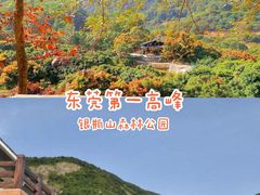 -银瓶山森林公园(谢岗镇)