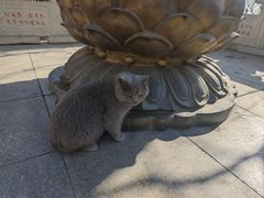 -青岩寺风景区