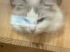 -天天喝丢一只鞋·烧烤·快餐(盐仓桥店)