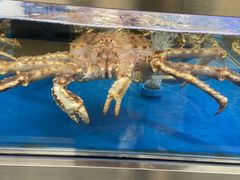 -盒马X会员店(上海森兰商都店)