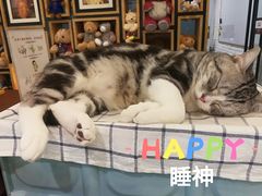 -咖法森林·咖啡  酒吧(天河店)