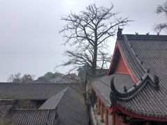 -金堂县云顶石城风景区