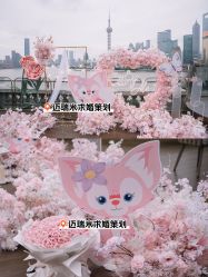 -迈瑞米求婚策划(静安店)