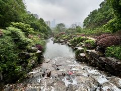 -桃花岭景区