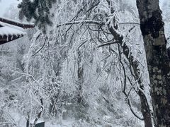 -峨眉山风景名胜区