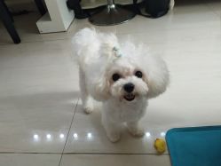 -肌理言健康美肌驻颜所