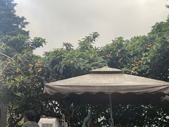 -桃源山庄·烤全羊·柴火鸡·烧烤团建(龙泉山店)
