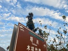 -塔川景区