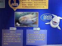 -正佳极地海洋世界