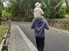 -七仙岭君澜度假酒店·桃源小馆中餐厅