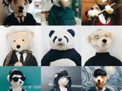 -济州岛泰迪熊博物馆