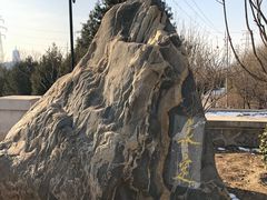 -永定河休闲森林公园