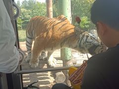 -西安秦岭野生动物园