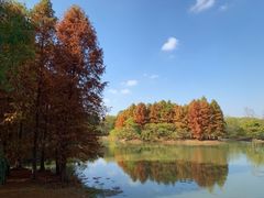 -梁鸿国家湿地公园