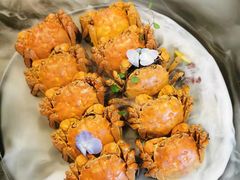 -碧丽宫大酒店(召稼楼店)