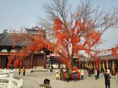 -祥源·阜阳生态乐园