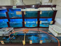 -兴乐饭店(齐飞路店)