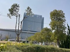 -春花秋色城市公园